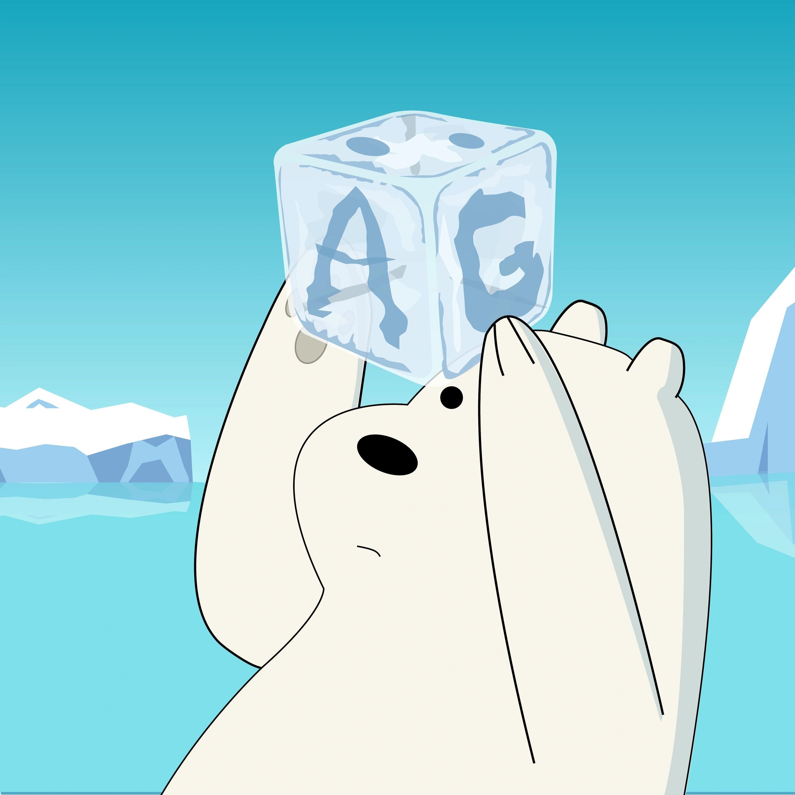 Ice Bear illustration